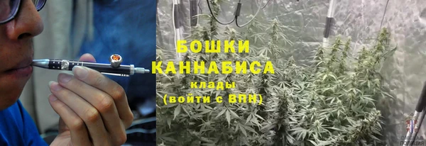 не бодяженный Волоколамск