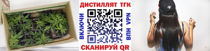 Дистиллят ТГК вейп с тгк  Купить  Нальчик 